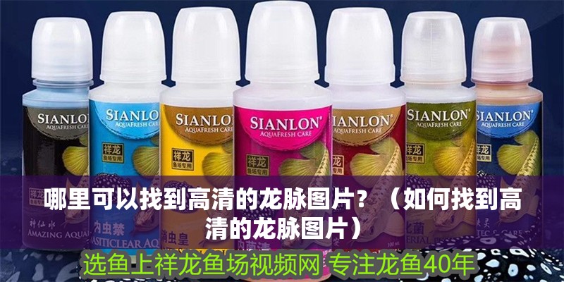 哪里可以找到高清的龍脈圖片？（如何找到高清的龍脈圖片）