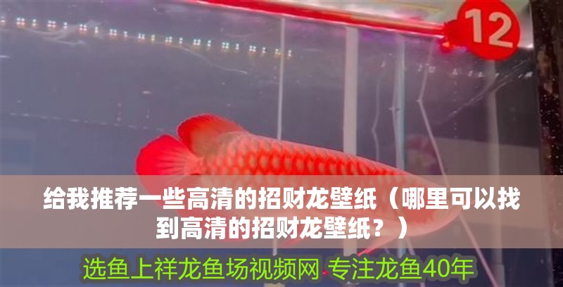給我推薦一些高清的招財龍壁紙（哪里可以找到高清的招財龍壁紙？）