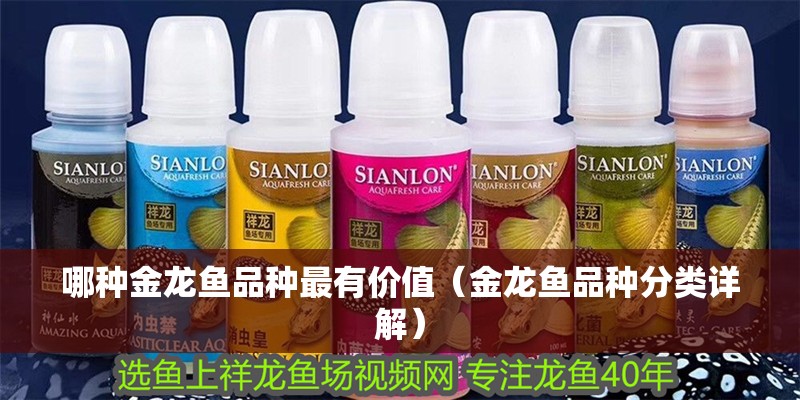 哪種金龍魚品種最有價(jià)值（金龍魚品種分類詳解）