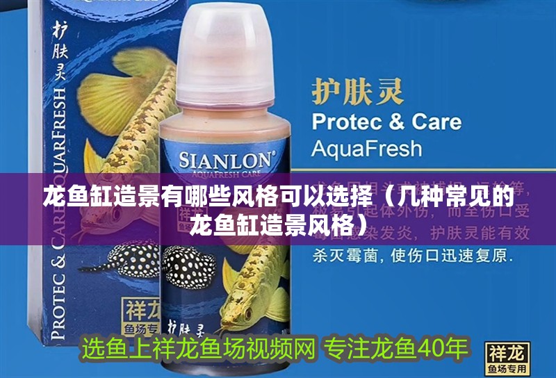 龍魚缸造景有哪些風格可以選擇（幾種常見的龍魚缸造景風格）