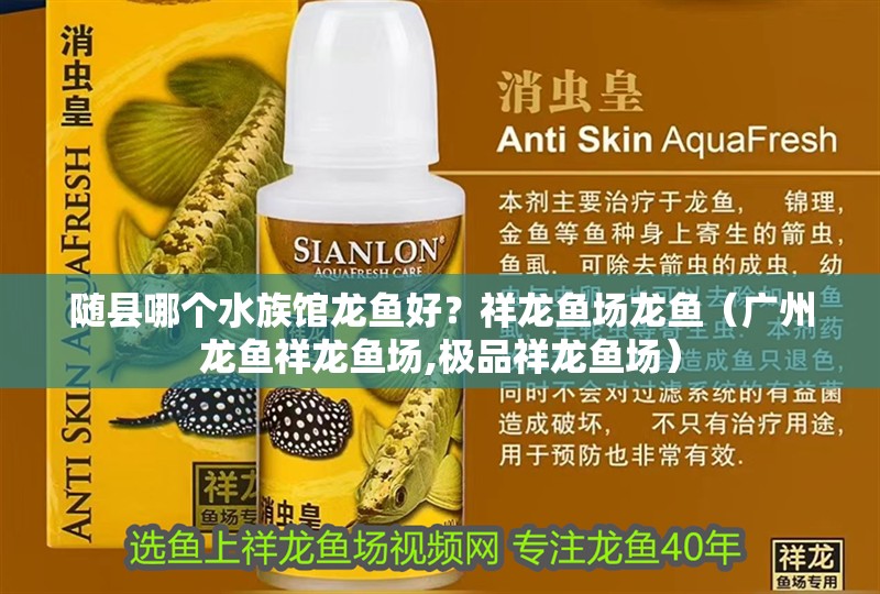 紅龍魚用黃燈烤有用嗎 隨縣哪個水族館龍魚好?祥龍魚場龍魚(廣州龍魚祥龍魚場,極品祥龍魚場) 龍魚百科 隨縣哪個水族館龍魚好?祥龍魚場龍魚(廣州龍魚祥龍魚場,極品祥龍魚場) 隨縣哪個水族館龍魚好?祥龍魚場龍魚(廣州龍魚祥龍魚場,極品祥龍魚場) 龍魚百科