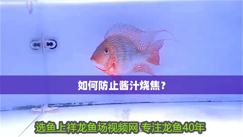 如何防止醬汁燒焦？ 如何防止醬汁燒焦？ 龍魚百科