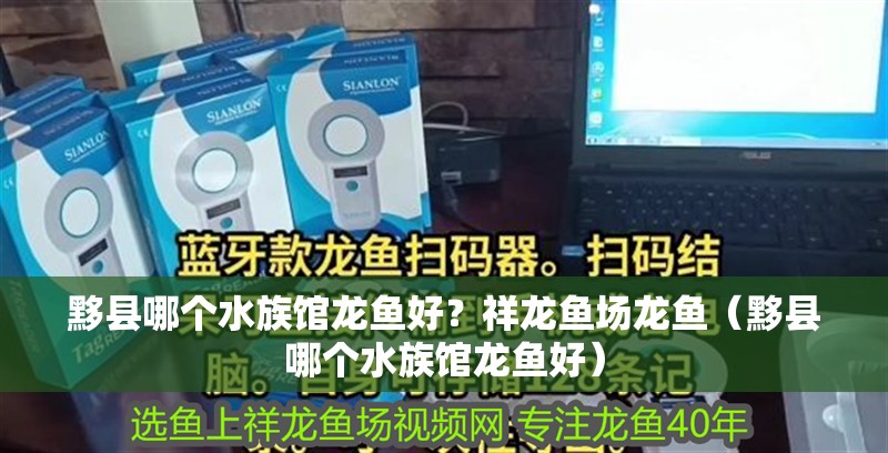 魚(yú)缸用增氧泵價(jià)格是多少:魚(yú)缸增氧機(jī)-xtrac增氧機(jī)-xtrac增氧機(jī) 黟縣哪個(gè)水族館龍魚(yú)好?祥龍魚(yú)場(chǎng)龍魚(yú)(黟縣哪個(gè)水族館龍魚(yú)好) 龍魚(yú)百科 黟縣哪個(gè)水族館龍魚(yú)好?祥龍魚(yú)場(chǎng)龍魚(yú)(黟縣哪個(gè)水族館龍魚(yú)好) 黟縣哪個(gè)水族館龍魚(yú)好?祥龍魚(yú)場(chǎng)龍魚(yú)(黟縣哪個(gè)水族館龍魚(yú)好) 龍魚(yú)百科