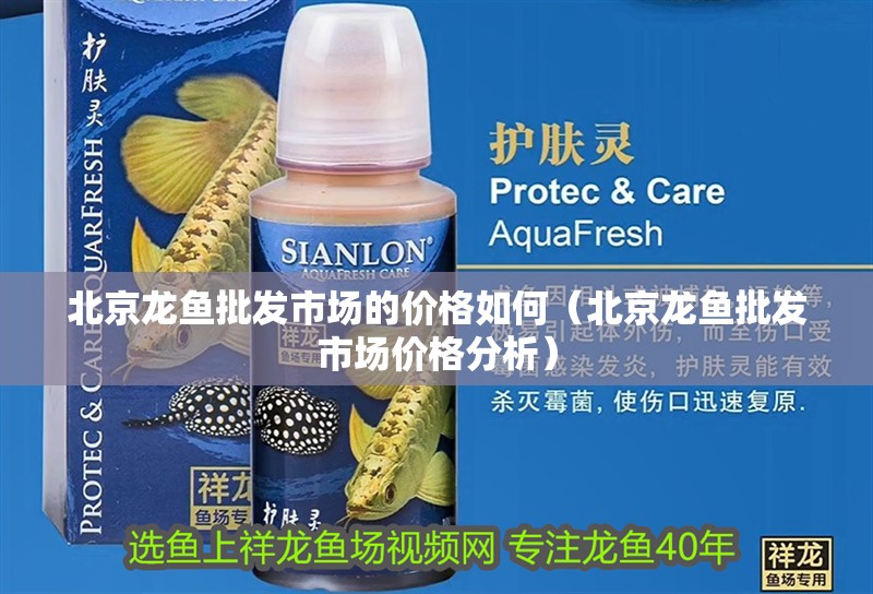 北京龍魚(yú)批發(fā)市場(chǎng)的價(jià)格如何（北京龍魚(yú)批發(fā)市場(chǎng)價(jià)格分析） 北京龍魚(yú)批發(fā)市場(chǎng)的價(jià)格如何（北京龍魚(yú)批發(fā)市場(chǎng)價(jià)格分析） 龍魚(yú)百科