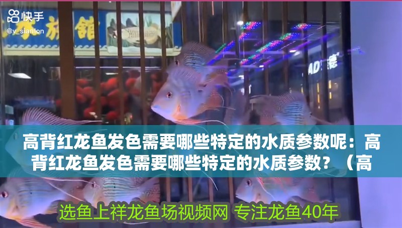 高背紅龍魚發色需要哪些特定的水質參數呢：高背紅龍魚發色需要哪些特定的水質參數？（高背紅龍魚健康發色的關鍵因素）