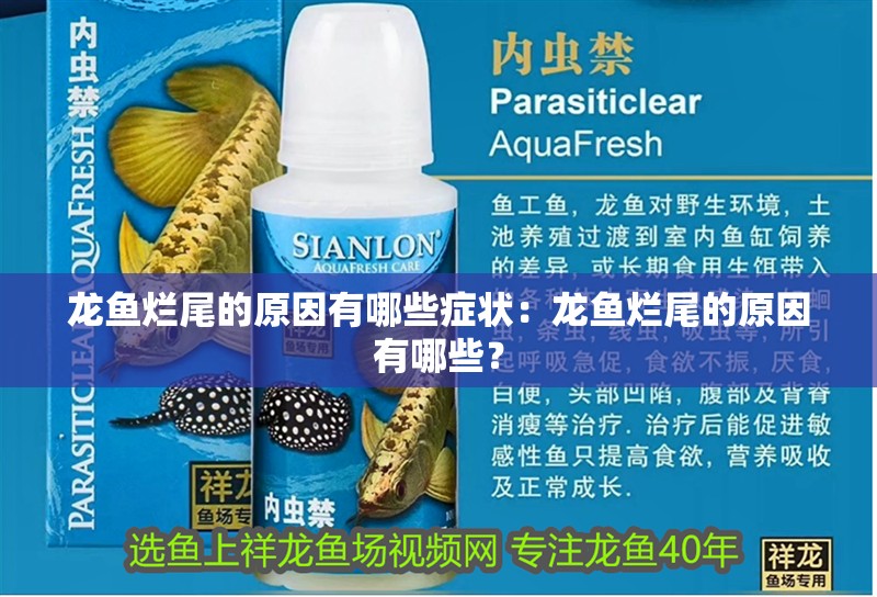 龍魚(yú)爛尾的原因有哪些癥狀：龍魚(yú)爛尾的原因有哪些？