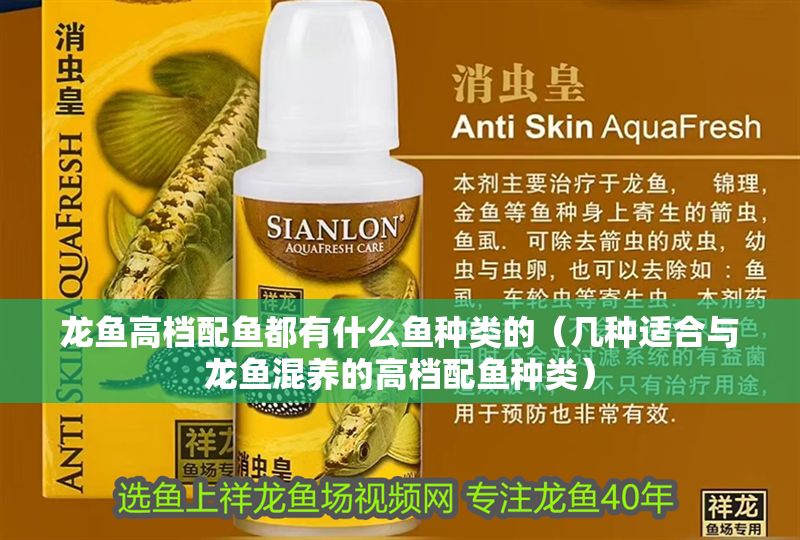 龍魚高檔配魚都有什么魚種類的（幾種適合與龍魚混養(yǎng)的高檔配魚種類）