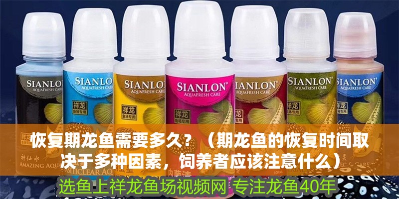 恢復期龍魚需要多久？（期龍魚的恢復時間取決于多種因素，飼養者應該注意什么）