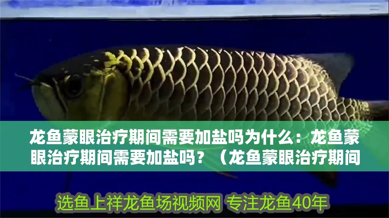 龍魚蒙眼治療期間需要加鹽嗎為什么：龍魚蒙眼治療期間需要加鹽嗎？（龍魚蒙眼治療期間需要加鹽嗎？）