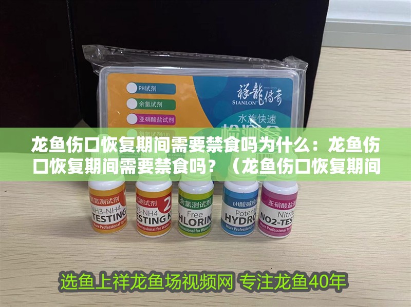 龍魚傷口恢復(fù)期間需要禁食嗎為什么：龍魚傷口恢復(fù)期間需要禁食嗎？（龍魚傷口恢復(fù)期間是否需要禁食，）