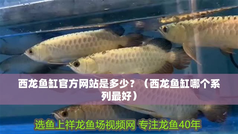 西龍魚缸官方網站是多少？（西龍魚缸哪個系列最好）