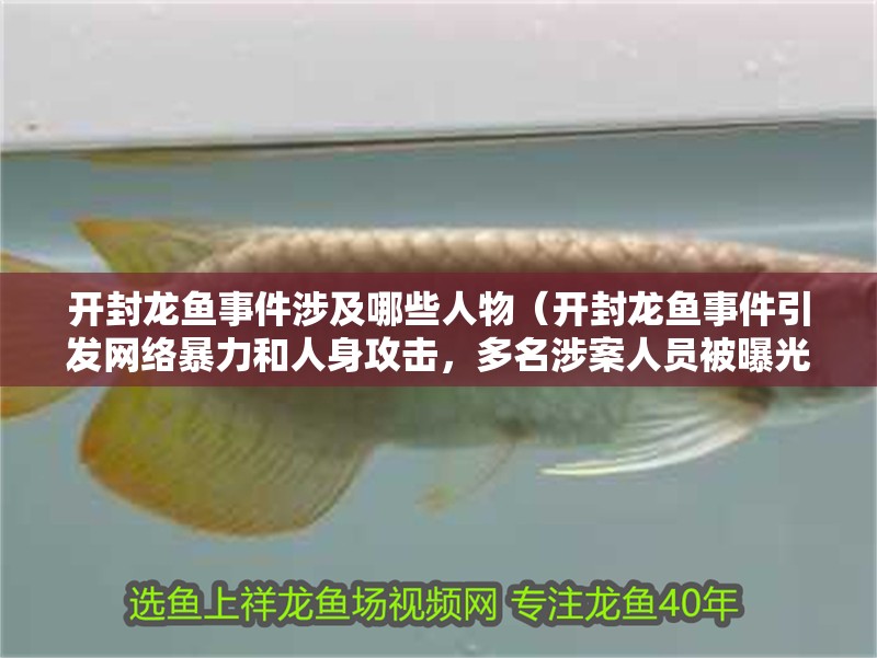 開封龍魚事件涉及哪些人物（開封龍魚事件引發網絡暴力和人身攻擊，多名涉案人員被曝光）