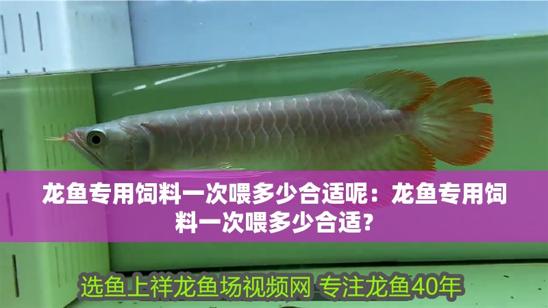 龍魚專用飼料一次喂多少合適呢：龍魚專用飼料一次喂多少合適？