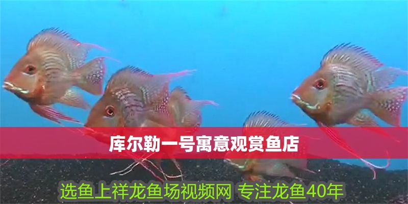 庫爾勒一號(hào)寓意觀賞魚店