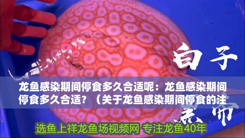 龍魚(yú)感染期間停食多久合適呢：龍魚(yú)感染期間停食多久合適？（關(guān)于龍魚(yú)感染期間停食的注意事項(xiàng)）