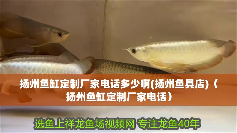 揚州魚缸定制廠家電話多少啊(揚州魚具店)（揚州魚缸定制廠家電話）