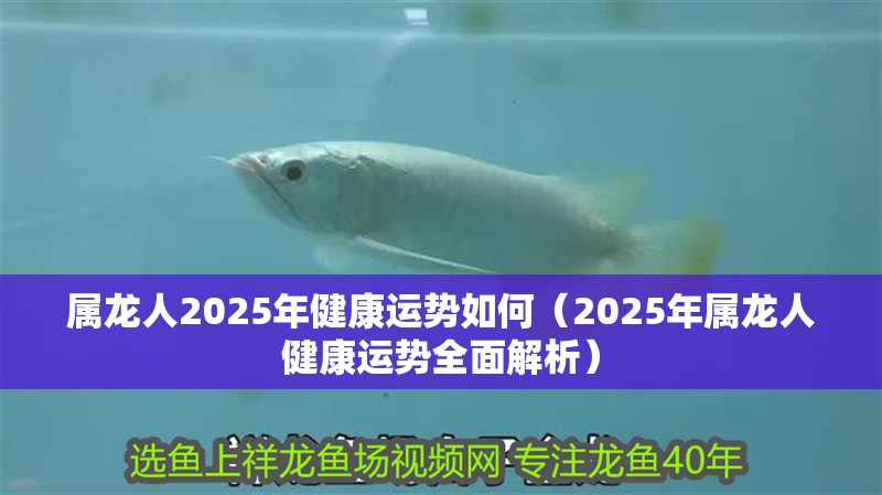 屬龍人2025年健康運勢如何（2025年屬龍人健康運勢全面解析） 屬龍人2025年健康運勢如何（2025年屬龍人健康運勢全面解析） 龍魚百科