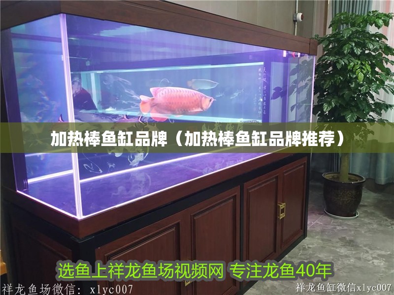 加熱棒魚缸品牌（加熱棒魚缸品牌推薦）