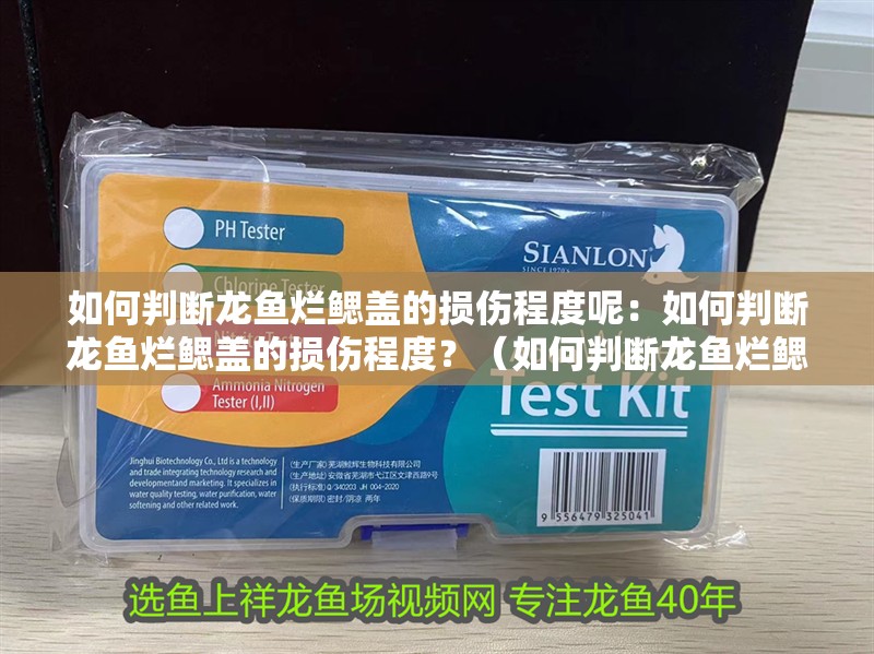 如何判斷龍魚爛鰓蓋的損傷程度呢：如何判斷龍魚爛鰓蓋的損傷程度？（如何判斷龍魚爛鰓蓋的損傷程度） 如何判斷龍魚爛鰓蓋的損傷程度呢：如何判斷龍魚爛鰓蓋的損傷程度？（如何判斷龍魚爛鰓蓋的損傷程度） 水族問答