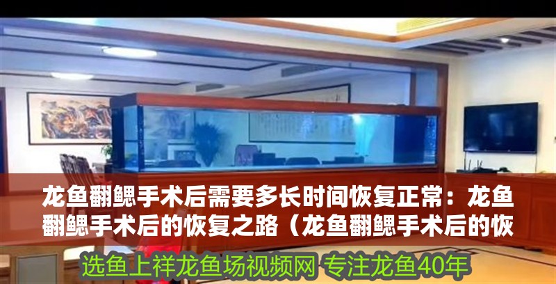 龍魚翻鰓手術后需要多長時間恢復正常：龍魚翻鰓手術后的恢復之路（龍魚翻鰓手術后的恢復時間）