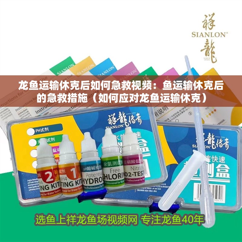 龍魚運輸休克后如何急救視頻：魚運輸休克后的急救措施（如何應對龍魚運輸休克）