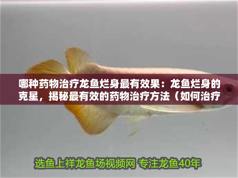 哪種藥物治療龍魚爛身最有效果：龍魚爛身的克星，揭秘最有效的藥物治療方法（如何治療龍魚爛身） 哪種藥物治療龍魚爛身最有效果：龍魚爛身的克星，揭秘最有效的藥物治療方法（如何治療龍魚爛身） 水族問答