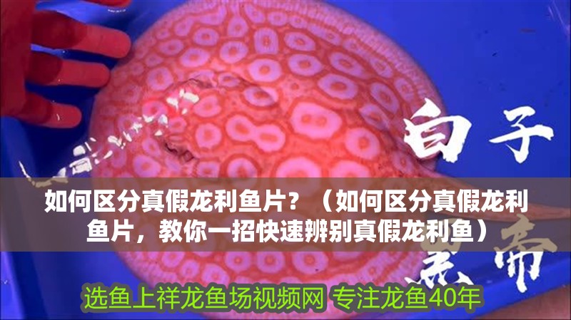 如何區分真假龍利魚片？（如何區分真假龍利魚片，教你一招快速辨別真假龍利魚）