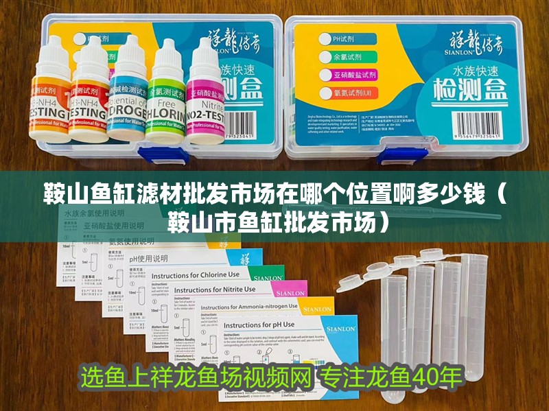 鞍山魚缸濾材批發市場在哪個位置啊多少錢（ 鞍山市魚缸批發市場）