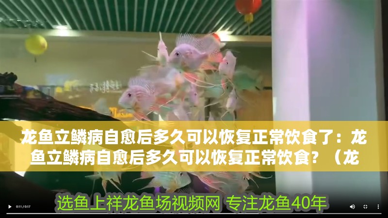 龍魚立鱗病自愈后多久可以恢復正常飲食了：龍魚立鱗病自愈后多久可以恢復正常飲食？（龍魚立鱗病自愈后多久可以恢復正常飲食龍魚自愈后多久可以恢復正常飲食）