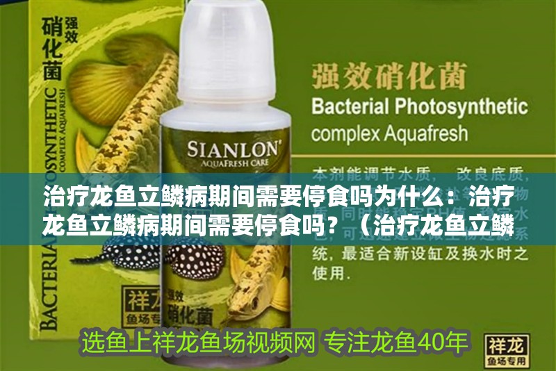 治療龍魚立鱗病期間需要停食嗎為什么：治療龍魚立鱗病期間需要停食嗎？（治療龍魚立鱗病期間是否需要停止喂食取決于多種因素）
