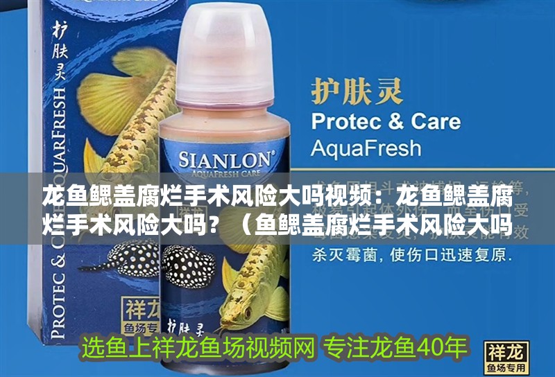 龍魚鰓蓋腐爛手術風險大嗎視頻：龍魚鰓蓋腐爛手術風險大嗎？（魚鰓蓋腐爛手術風險大嗎，龍魚鰓蓋腐爛手術的風險大嗎） 龍魚鰓蓋腐爛手術風險大嗎視頻：龍魚鰓蓋腐爛手術風險大嗎？（魚鰓蓋腐爛手術風險大嗎，龍魚鰓蓋腐爛手術的風險大嗎） 水族問答