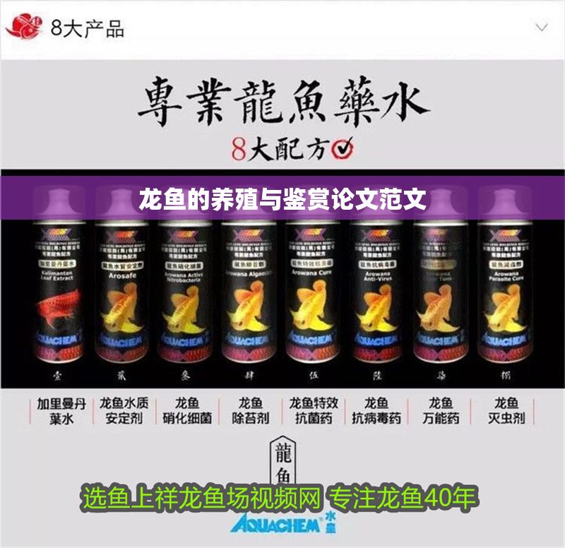 龍魚的養殖與鑒賞論文范文