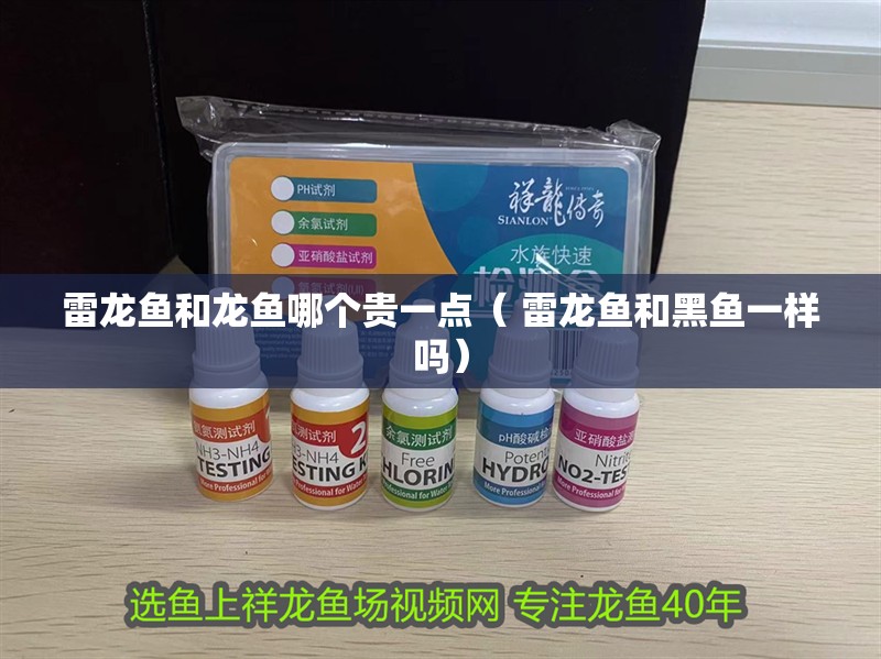 雷龍魚和龍魚哪個(gè)貴一點(diǎn)（ 雷龍魚和黑魚一樣嗎）