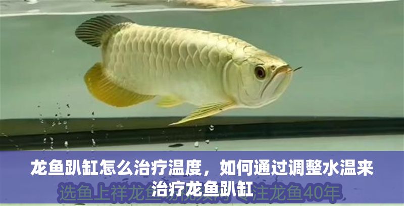 龍魚趴缸怎么治療溫度，如何通過調整水溫來治療龍魚趴缸