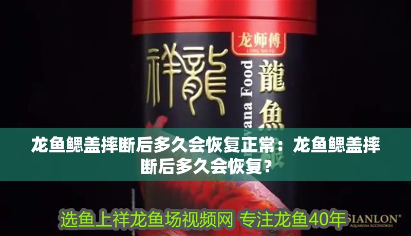 龍魚鰓蓋摔斷后多久會恢復正常：龍魚鰓蓋摔斷后多久會恢復？