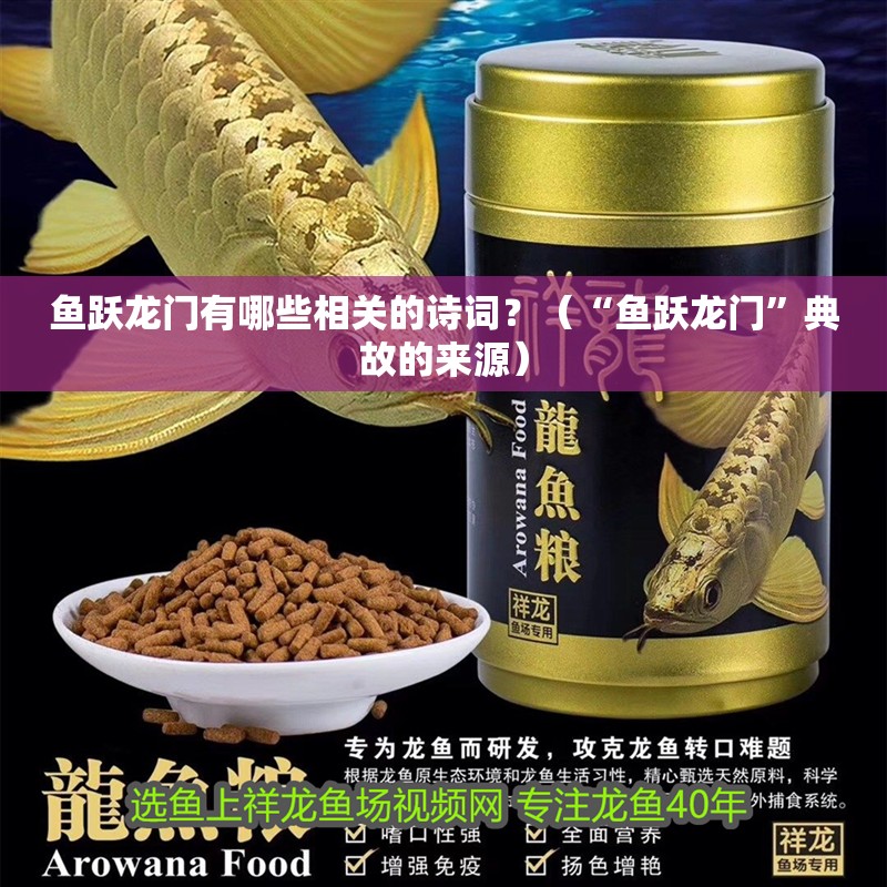 魚躍龍門有哪些相關的詩詞？（“魚躍龍門”典故的來源）