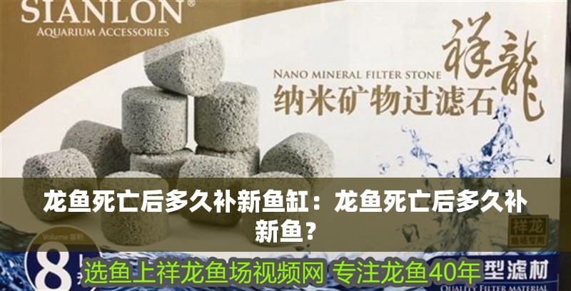 龍魚死亡后多久補新魚缸：龍魚死亡后多久補新魚？ 龍魚死亡后多久補新魚缸：龍魚死亡后多久補新魚？ 水族問答