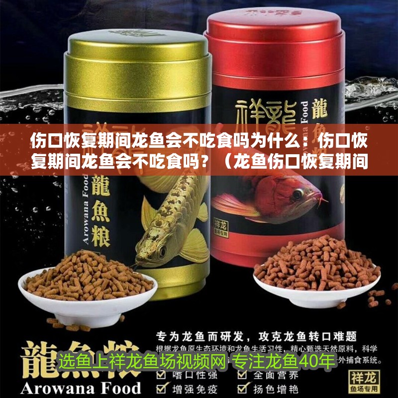 雀魚可以和什么魚混養(yǎng)？，斗魚可以和什么魚混養(yǎng)