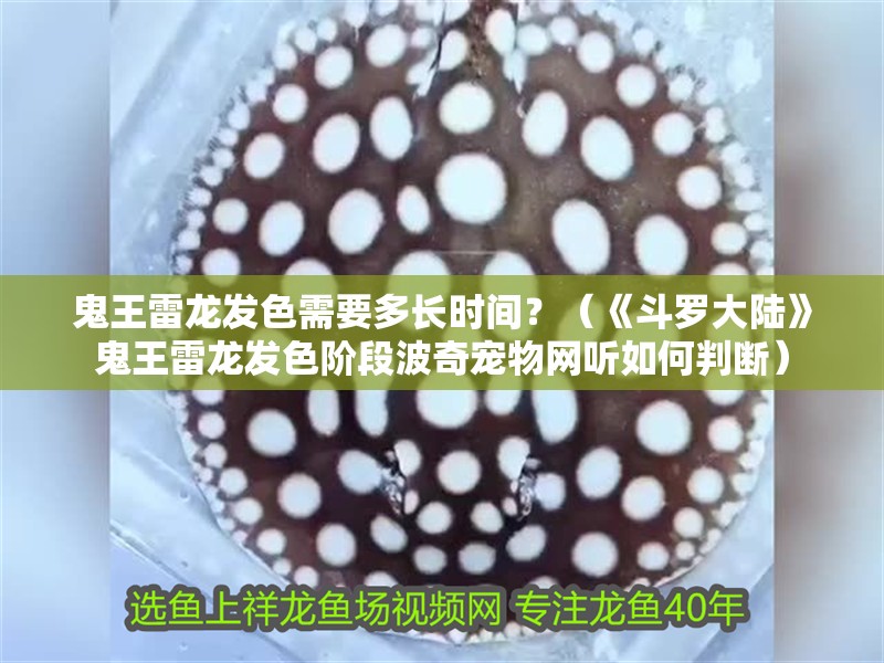 鬼王雷龍發色需要多長時間？（《斗羅大陸》鬼王雷龍發色階段波奇寵物網聽如何判斷）