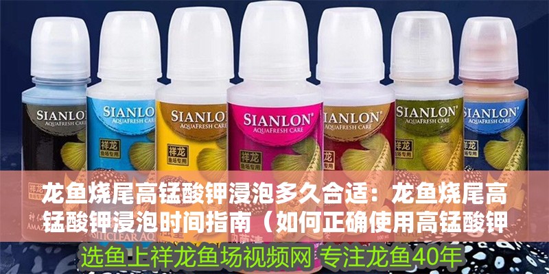 龍魚燒尾高錳酸鉀浸泡多久合適：龍魚燒尾高錳酸鉀浸泡時間指南（如何正確使用高錳酸鉀溶液處理龍魚的“燒尾”問題） 龍魚燒尾高錳酸鉀浸泡多久合適：龍魚燒尾高錳酸鉀浸泡時間指南（如何正確使用高錳酸鉀溶液處理龍魚的“燒尾”問題） 水族問答
