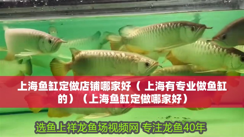 <strong><mark>上海</mark></strong>魚缸定做店鋪哪家好（ <strong><mark>上海</mark></strong>有專業做魚缸的）（<strong><mark>上海</mark></strong>魚缸定做哪家好）