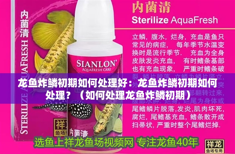 龍魚炸鱗初期如何處理好：龍魚炸鱗初期如何處理？（如何處理龍魚炸鱗初期）