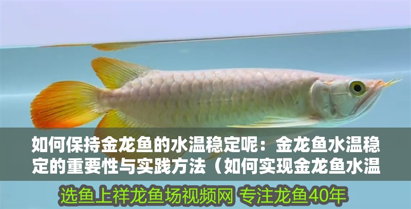 如何保持金龍魚的水溫穩(wěn)定呢:金龍魚水溫穩(wěn)定的重要性與實踐方法(如何實現(xiàn)金龍魚水溫的穩(wěn)定)