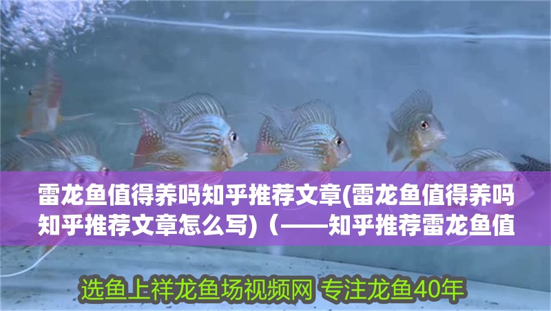 雷龍魚值得養(yǎng)嗎知乎推薦文章(雷龍魚值得養(yǎng)嗎知乎推薦文章怎么寫)（——知乎推薦雷龍魚值得養(yǎng)嗎，雷龍魚值得養(yǎng)嗎）