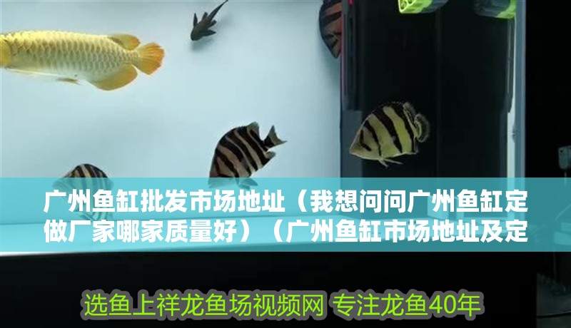 廣州魚缸批發市場地址（我想問問廣州魚缸定做廠家哪家質量好）（廣州魚缸市場地址及定做廠家質量比較）
