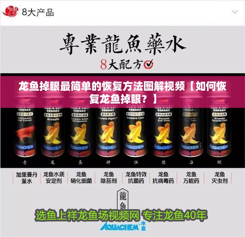 龍魚掉眼最簡單的恢復(fù)方法圖解視頻【如何恢復(fù)龍魚掉眼？】 龍魚掉眼最簡單的恢復(fù)方法圖解視頻【如何恢復(fù)龍魚掉眼？】 觀賞魚百科