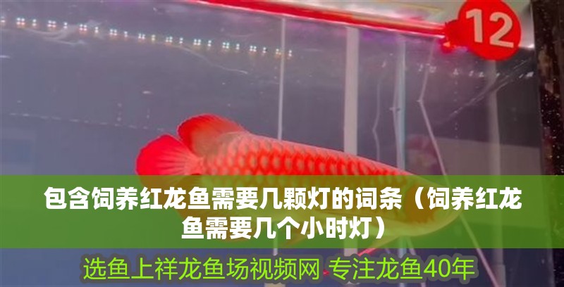 魚缸用增氧泵價格是多少:魚缸增氧機-xtrac增氧機-xtrac增氧機 包含飼養紅龍魚需要幾顆燈的詞條(飼養紅龍魚需要幾個小時燈) 觀賞魚百科 包含飼養紅龍魚需要幾顆燈的詞條(飼養紅龍魚需要幾個小時燈) 包含飼養紅龍魚需要幾顆燈的詞條(飼養紅龍魚需要幾個小時燈) 觀賞魚百科