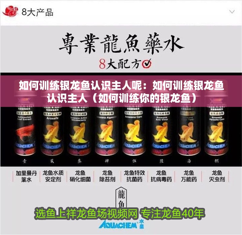 如何訓練銀龍魚認識主人呢：如何訓練銀龍魚認識主人（如何訓練你的銀龍魚）