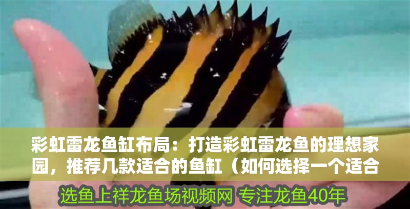 彩虹雷龍魚缸布局：打造彩虹雷龍魚的理想家園，推薦幾款適合的魚缸（如何選擇一個(gè)適合彩虹雷龍魚的魚缸）
