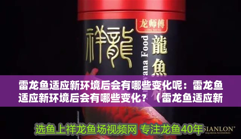 雷龍魚適應(yīng)新環(huán)境后會有哪些變化呢：雷龍魚適應(yīng)新環(huán)境后會有哪些變化？（雷龍魚適應(yīng)新環(huán)境會有哪些變化？） 雷龍魚適應(yīng)新環(huán)境后會有哪些變化呢：雷龍魚適應(yīng)新環(huán)境后會有哪些變化？（雷龍魚適應(yīng)新環(huán)境會有哪些變化？） 水族問答